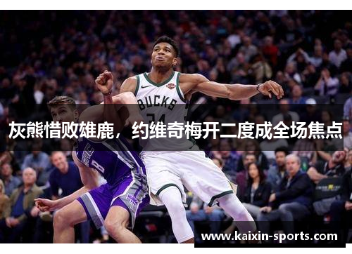 灰熊惜败雄鹿,约维奇梅开二度成全场焦点