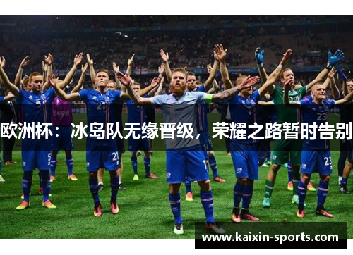 欧洲杯:冰岛队无缘晋级,荣耀之路暂时告别